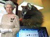 Camera ZOOM FX Android app:  My cat helping me write when the Queen came to visit