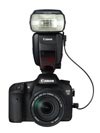 Canon Speedlite 600EX-RT: attached to Canon 7D camera body and connected with SR-N3 cord