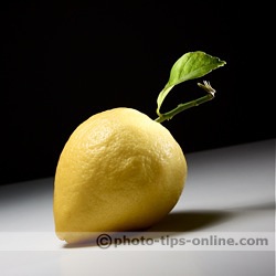 Honl Photo traveller8 Softbox: macro example, tabletop