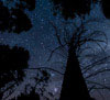 LandscapePro: silhouette, stars