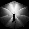 MagMod MagSphere: umbrella + bare flash