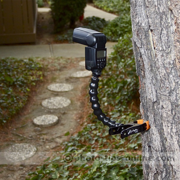 Nasty Clamps: Canon Speedlite 580EX II mounted onto tree bark