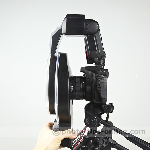 Orbis vs. Ray Flash: both in shooting position, side view, Ray Flash ring is in front of the Orbis ring