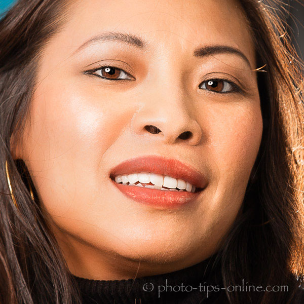 PortraitPro 15: lipstick shine, light source on the left
