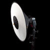 RoundFlash Beauty Dish: front angle view