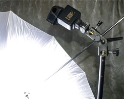 Choosing a Light Stand, Umbrella & Adapter: white shoot-through umbrella positioned in front of the flash
