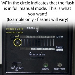 Off Camera Flash on a Budget: manual flash switched to Manual mode, example